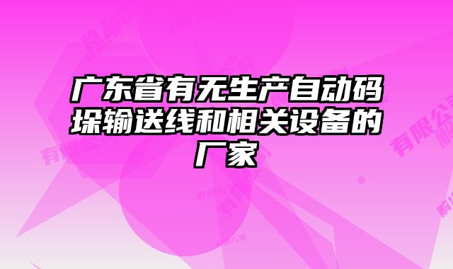 广东省有无生产自动码垛输送线和相关设备的厂家