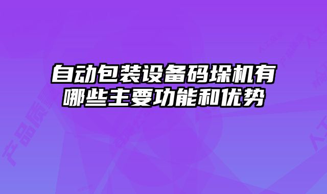 自动包装设备码垛机有哪些主要功能和优势