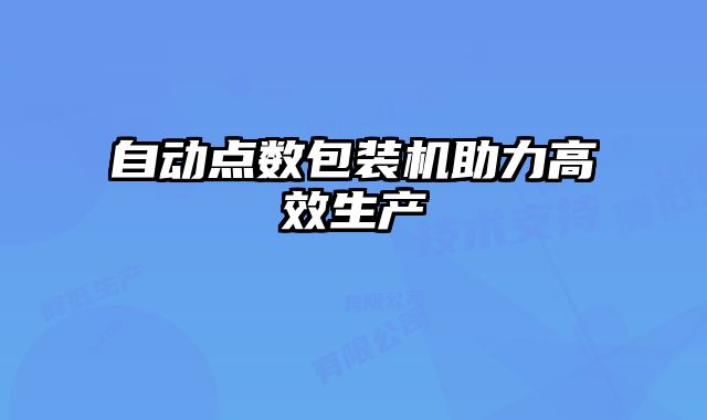 自动点数包装机助力高效生产